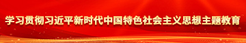 超碰成人最新最好看学习贯彻习近平新时代中国特色社会主义思想主题教育