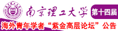 逼逼爱插插乐享网南京理工大学第十四届海外青年学者紫金论坛诚邀海内外英才！